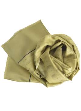 Foulard en soie Homme de Vitruve