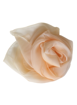 Foulard 40x160 en soie champagne